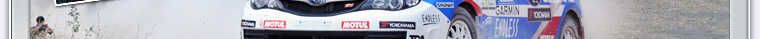 ERC [FIA European Rally Championship]